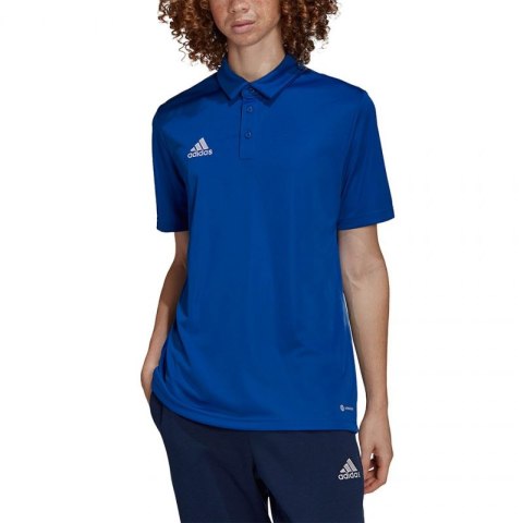 Koszulka adidas Entrada 22 Polo M HG6285